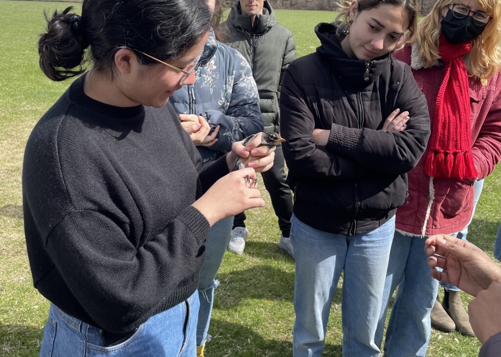 Wildlife Monitoring (Spring 23) class learning the techniques of mist-netting and handling birds