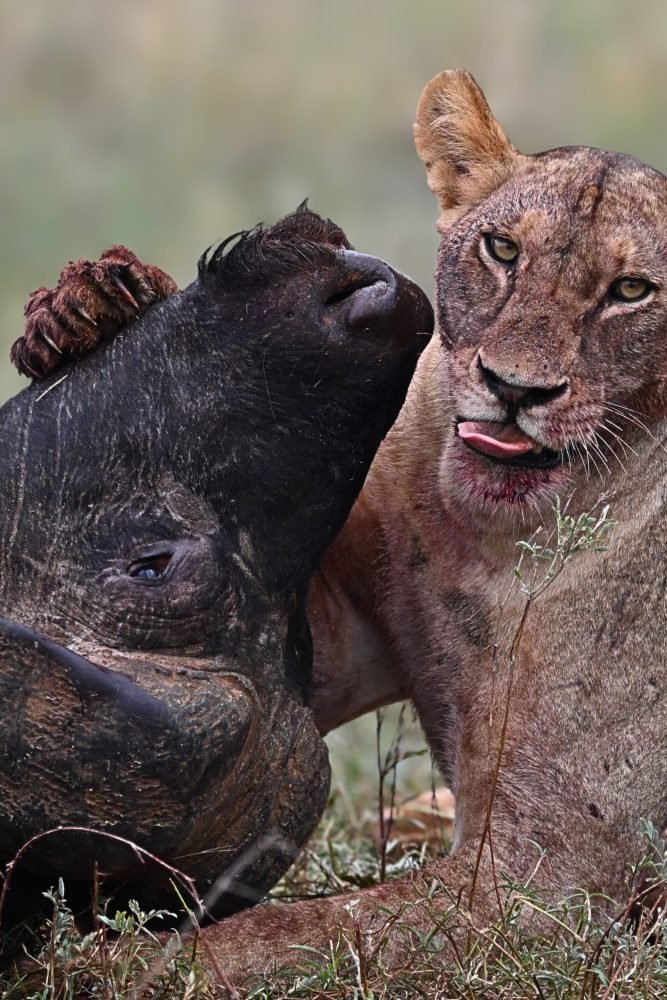 ca4a904f-9b79-40c4-9e39-87c0108c8e7e 2